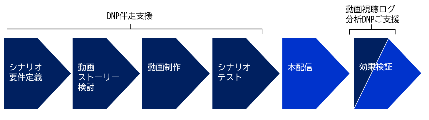導入プロセス