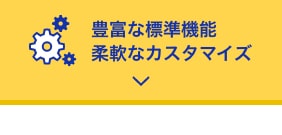 DNPのECサイト・通販業務支援システム CommerceLineSPは豊富な標準機能がありながらも柔軟なカスタマイズも可能で、お客様のご要望にお応えします