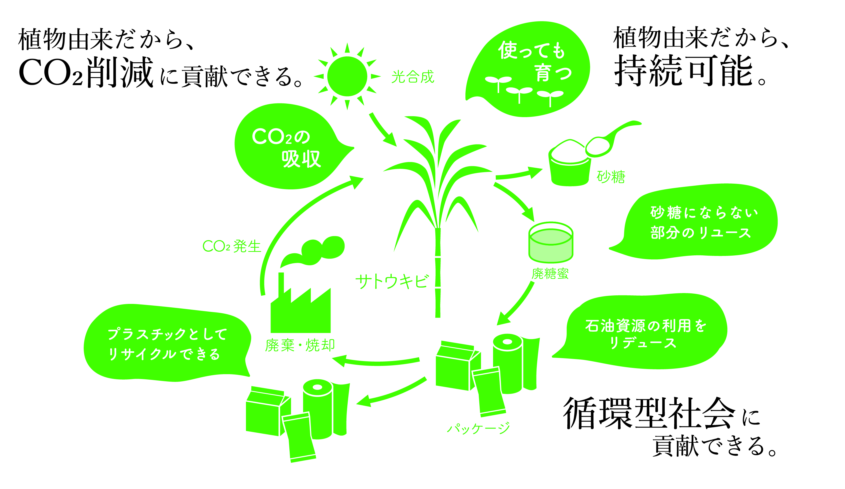 バイオマテックのライフサイクルの図