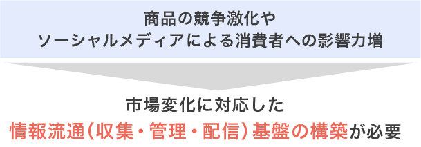 商品の競争激化やソーシャルメディアによる消費者への影響力増を背景に、市場変化に対応した情報流通（収集・管理・配信）基盤の構築が必要