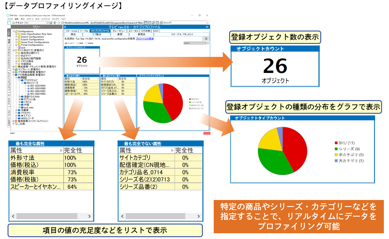 データプロファイリングイメージ