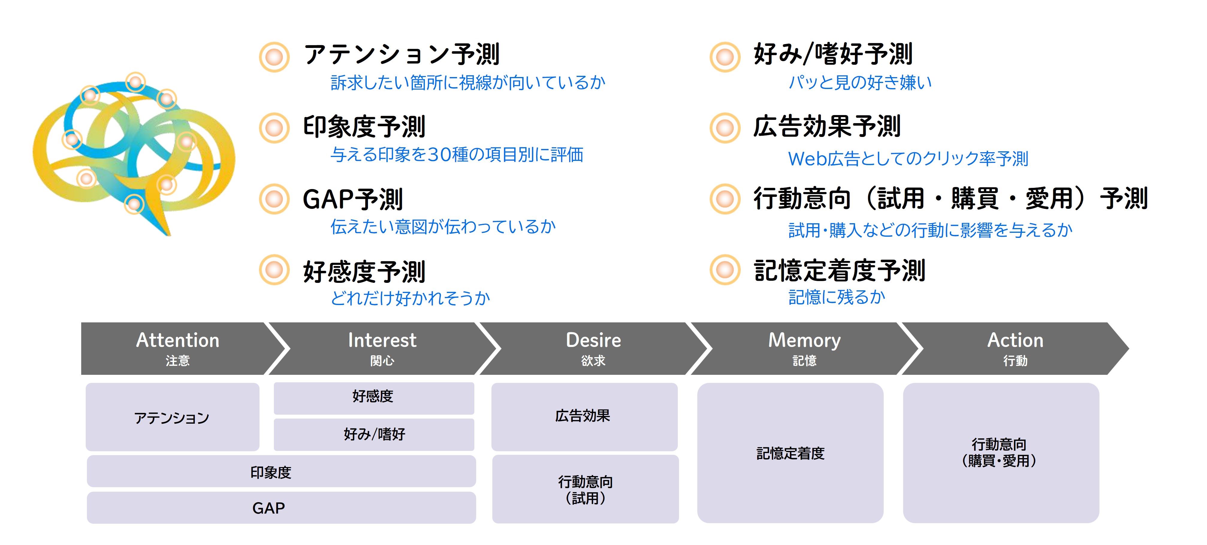 消費者購買行動モデル（AIDMA）のフレームワークに沿って設けられた検証項目の図