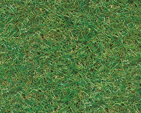 リアルサーフェス画像：芝生