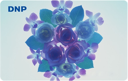 非接触型ICカードの券面イメージ