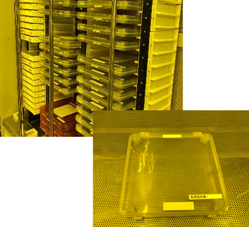 管理対象パターンマスク