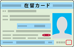 在留カード