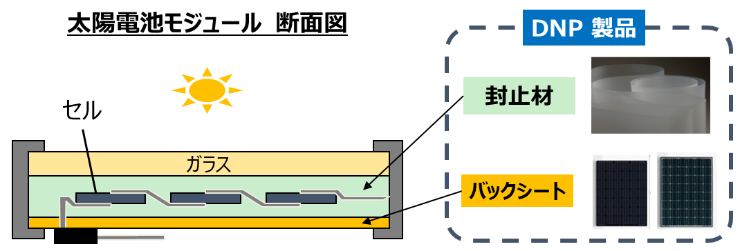太陽電池モジュールに使用されているDNP製品のイメージイラスト