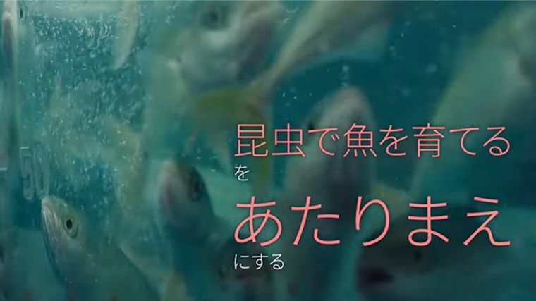 寿司（刺身）イメージ